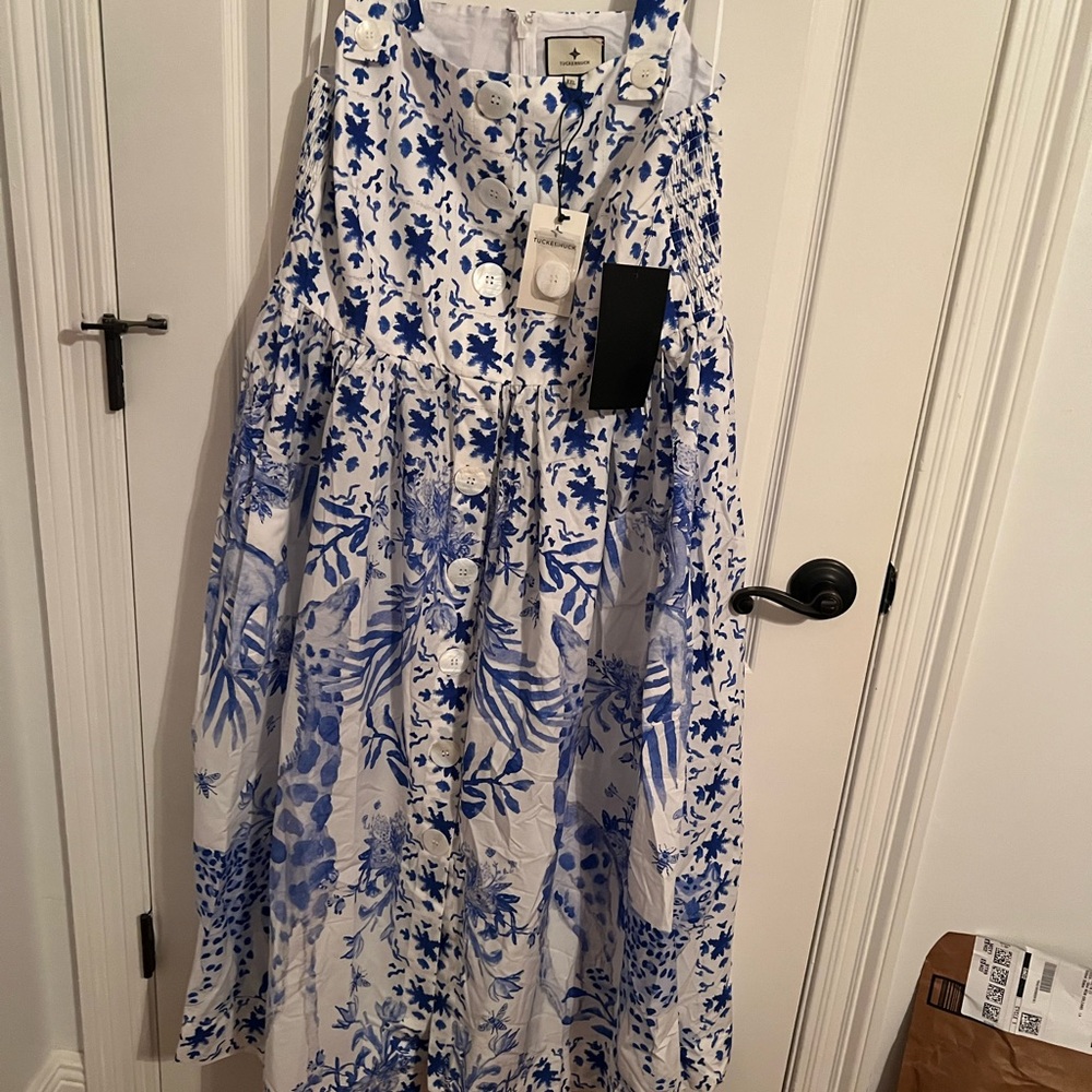 Tuckernuck blue and white sundress